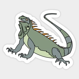 Iguana Sticker